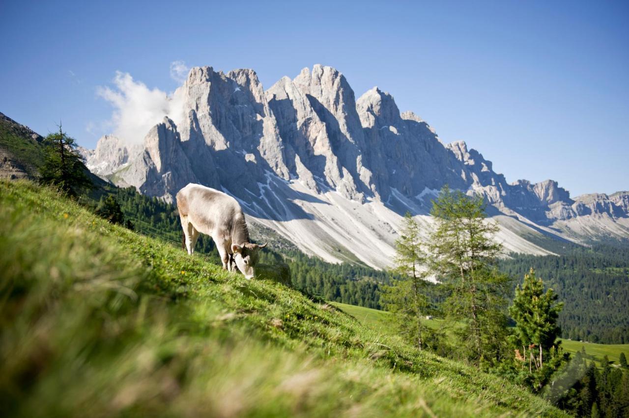Raschoetzhof Funes  Exterior foto